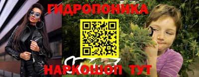 спиды Камышлов