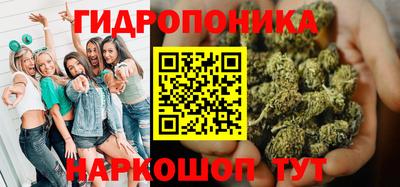 спиды Камышлов